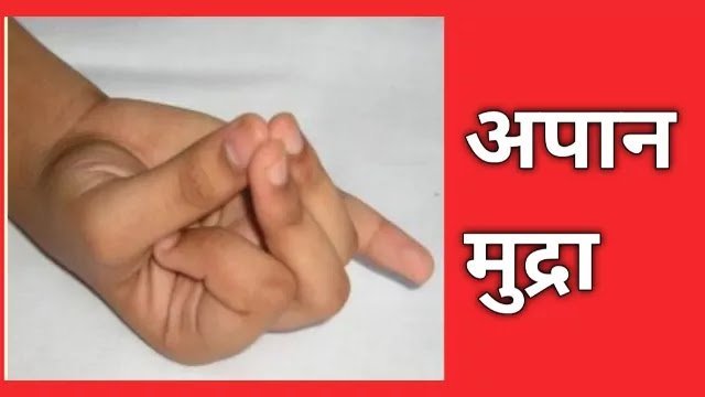 apan mudra in hindi