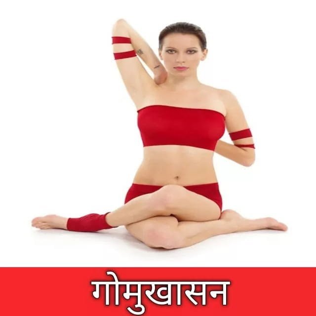 gomukhasana in hindi