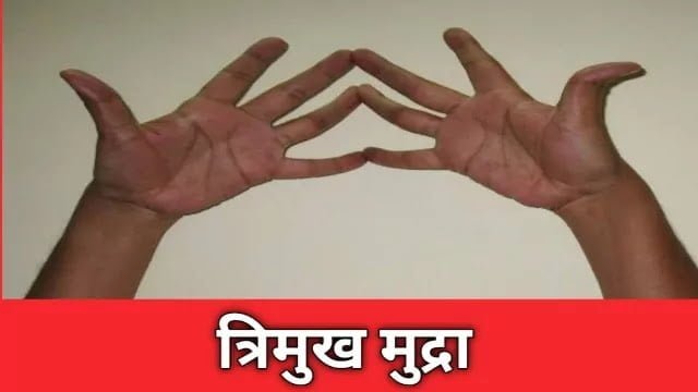 trimukha mudra in hindi
