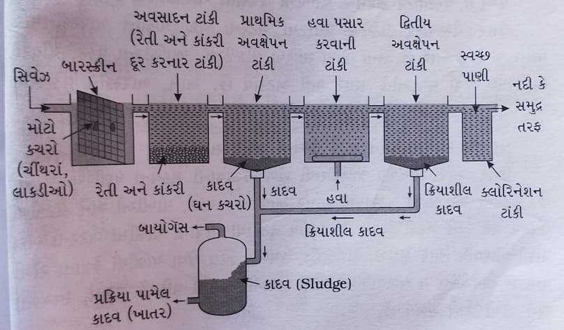 Class 7 Science Chapter 13 Swadhyay