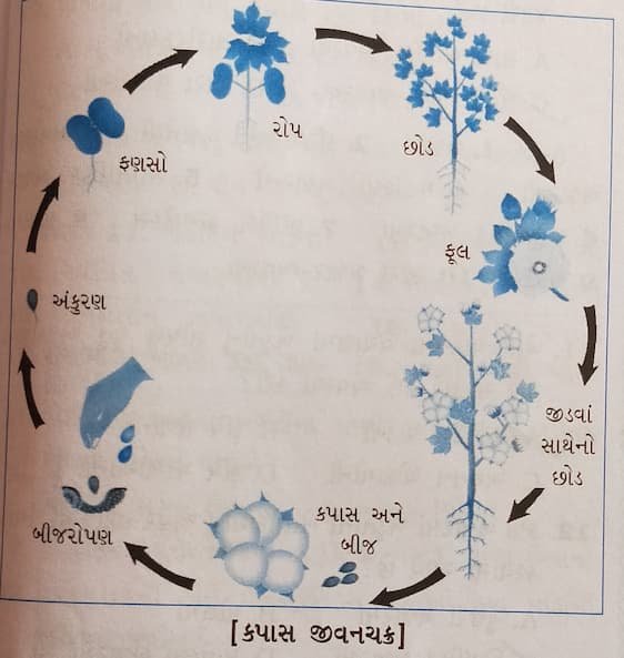 Class 7 Social Science Chapter 19 Swadhyay