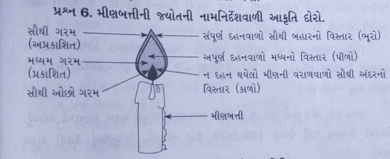 Class 8 Science Chapter 6 Swadhyay ધોરણ 8 વિજ્ઞાન પાઠ 6 સ્વાધ્યાય