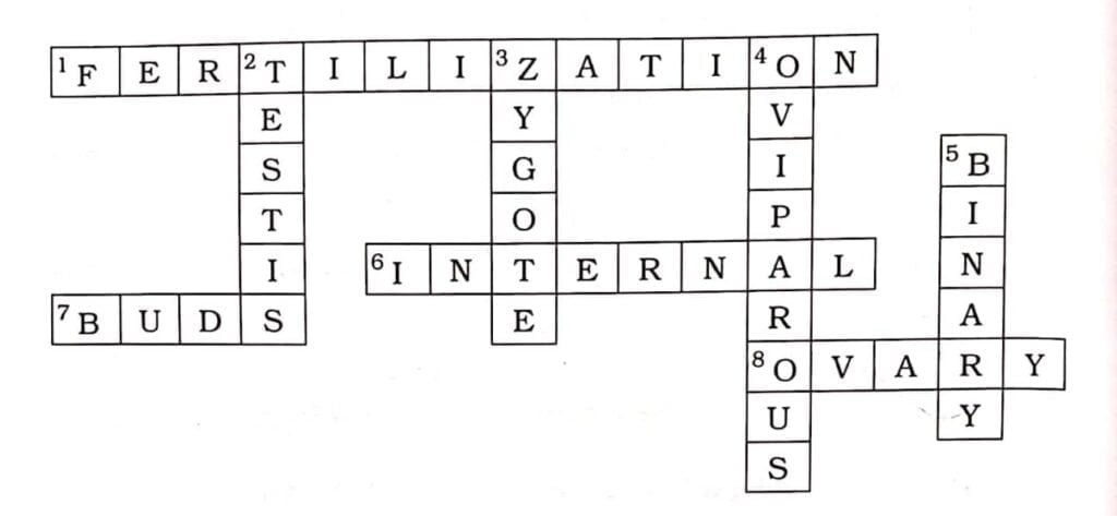 Class 8 Science Chapter 6 Swadhyay 