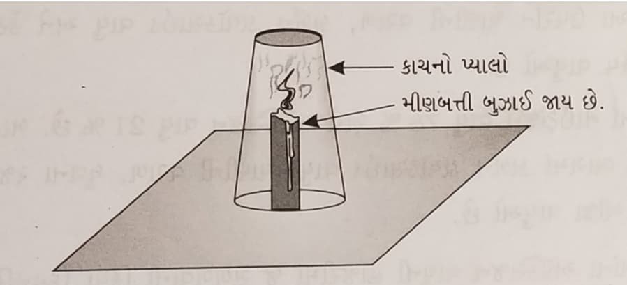 Class 6 Science Chapter 11 Swadhyay