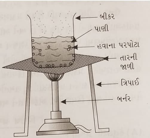 Class 6 Science Chapter 11 Swadhyay