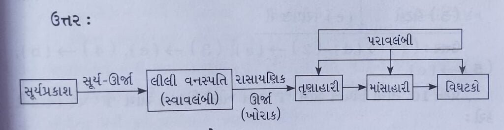 Class 7 Science Chapter 1 Swadhyay