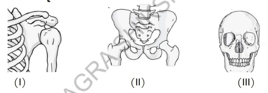 Std 6 Science Chapter 5 Mcq Gujarati