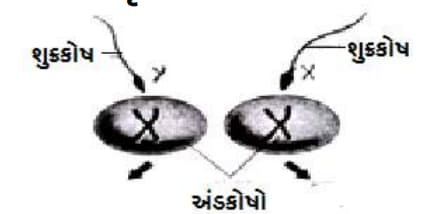 Std 8 Science Chapter 7 Mcq Gujarati